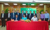 Ninh Thuận sẽ trồng cỏ, nuôi bò dưới những tấm pin năng lượng mặt trời như thế nào