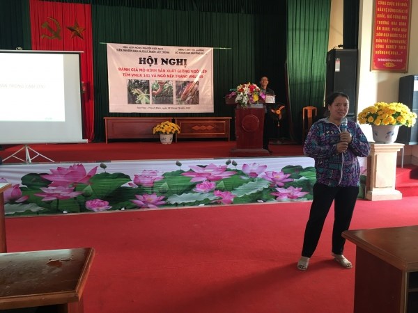 Cô Nguyễn Thị Từ - đại diện các hộ dân trồng hai giống ngô VNUA141 và VNUA69 xã Tân Trào phát biểu tại Hội nghị