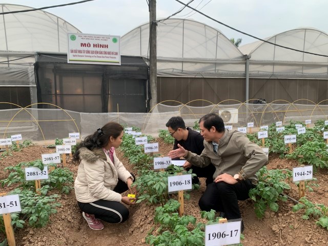 KTS Nguyễn Xuân Trường hướng dẫn sinh viên quy trình chọn tạo giống khoai tây.