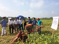 Học viện Nông nghiệp Việt Nam ứng dụng cơ giới hóa đồng bộ các khâu trong sản xuất đậu tương