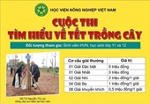 Gần 3 000 thí sinh tham gia Cuộc thi tìm hiểu về Tết trồng cây