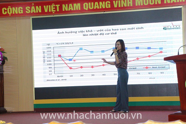 Bà Bùi Thị Kiều – Trưởng phòng Cấp cao Quản lý và Đào tạo GREENFEED trình bày về những trải nghiệm khi làm việc ở một trại heo tại Mỹ