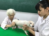 Bà giáo 88 tuổi dạy châm cứu miễn phí