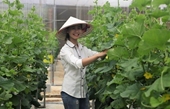 Báo cáo tóm tắt kết quả đề tài nghiên cứu cấp Học viện do dự án Việt Bỉ tài trợ năm 2020