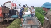 Sinh viên ngành Khoa học cây trồng tham gia thực tập nghề nghiệp tại cơ sở