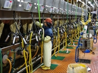 Những điều cần biết về Chương trình Kỹ sư chăn nuôi làm việc tại Nhật Bản dành cho sinh viên Học viện Nông nghiệp Việt Nam