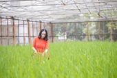 Chủ tịch Công đoàn Viện Ngiên cứu và Phát triển cây trồng Phạm Thị Ngọc Yến, ứng cử viên đại biểu Quốc hội khóa XV mong muốn góp phần xây dựng một nền nông nghiệp an toàn cho Hà Nội