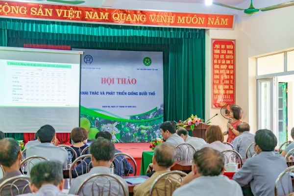 TS. Phạm Thị Ngọc trình bày về đặc điểm nông sinh học và tiềm năng kinh tế của giống bưởi Thồ