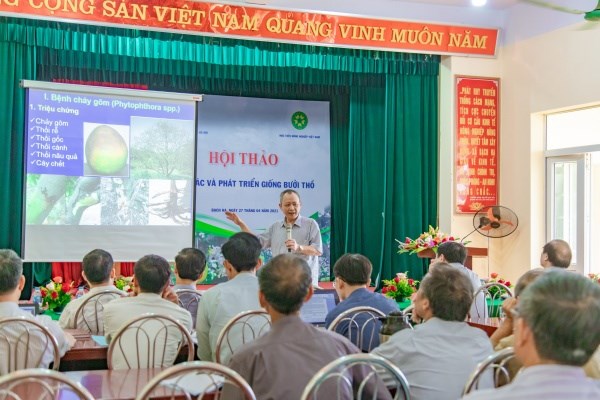 PGS.TS. Hà Viết Cường trình bày về các biện pháp quản lý sâu bệnh hại nguy hiểm trên cây bưởi