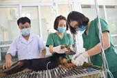 Thú y – Ngành ngành học dễ xin việc và thu nhập cao