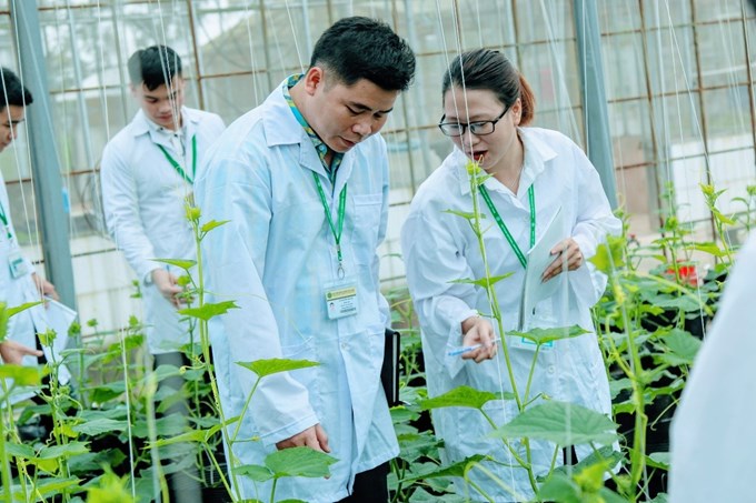 Sinh viên học thực hành trong nhà lưới Học viện Nông nghiệp Việt Nam