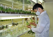 Khoa học cây trồng tiên tiến – đào tạo hội nhập quốc tế