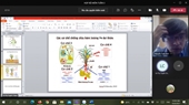 Seminar khoa học tuần 40 – Nhóm nghiên cứu mạnh “Công nghệ chọn tạo và phát triển giống cây trồng”