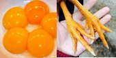 Ảnh hưởng của một số yếu tố đến khả năng sinh sắc tố carotenoid của nấm men đỏ Rhodotorula