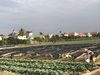 Nghiên cứu rủi ro trong sản xuất rau an toàn tại xã Văn Đức, huyện Gia Lâm, thành phố Hà Nội