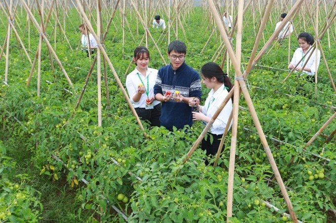 Năm 2022, Học viện Nông nghiệp Việt Nam sẽ tuyển sinh 25 nhóm ngành, bao gồm 48 ngành với 74 chuyên ngành đào tạo. Ảnh: VNUA.