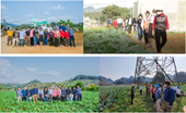 Kết quả dự án “Xây dựng mô hình sản xuất rau theo hướng thị trường nhằm tạo sinh kế bền vững cho phụ nữ dân tộc Thái, xã Quài Cang, huyện Tuần Giáo, tỉnh Điện Biên” do Quỹ Hỗ trợ cựu sinh viên Úc AAGF tài trợ