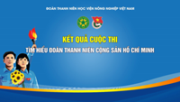 Kết quả Cuộc thi “Tìm hiểu Đoàn TNCS Hồ Chí Minh” năm 2022