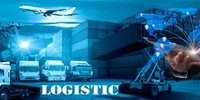 Việt Nam đang có bao nhiêu doanh nghiệp tham gia ngành logistics và quản lý chuỗi cung ứng