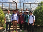 Triển vọng hợp tác nghiên cứu chọn tạo giống cây trồng giữa Học viện Nông nghiệp Việt Nam và Cuba
