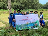 Tuổi trẻ Khoa Kinh tế và Phát triển nông thôn và Khoa Nông học góp sức trẻ xây dựng nông thôn mới