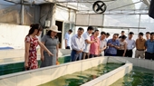Sẵn sàng chuyển giao những thành tựu khoa học công nghệ cho huyện Mèo Vạc