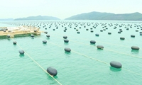 Chuyển đổi vật liệu nổi trong nuôi trồng thủy sản ở xã Bản Sen, huyện Vân Đồn, tỉnh Quảng Ninh
