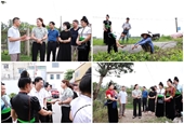 Cựu sinh viên Úc tại Học viện Nông nghiệp Việt Nam tổ chức chuyến thăm quan mô hình chuỗi giá trị rau bền vững cho phụ nữ Thái xã Quài Cang, huyện Tuần Giáo, tỉnh Điện Biên