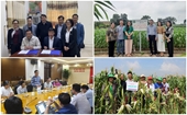 Viện Nghiên cứu và Phát triển cây trồng có nhiều hoạt động chào mừng Ngày Khoa học và Công nghệ Việt Nam lần thứ 10