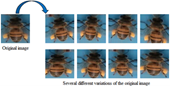 Nghiên cứu thuật toán học sâu mạng noron tích chập và ứng dụng trong nhận dạng hình ảnh ong mật mang phấn