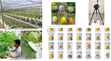 Nghiệm thu đề tài KHCN trọng điểm cấp Học viện “Nghiên cứu mở đầu đánh giá kiểu hình qua ảnh, xây dựng dữ liệu lớn và ứng dụng trong chọn giống cây trồng”