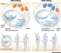 Phát triển của các liệu pháp chỉnh sửa RNA có thể thay thế công nghệ chỉnh sửa DNA dùng CRISPR