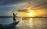 Tương lai sáng lạn của dafabet khuyến mãi Thủy sản