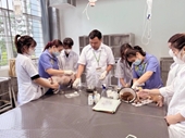 Sinh viên trải nghiệm từ lý thuyết đến thực tế tại Bệnh viện Thú y