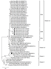 Virus Tembusu ở vịt nuôi tại miền Bắc Việt Nam phân tích đặc địch dịch tễ và sinh học phân tử của một số chủng virus mới