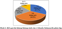 Nghiên cứu khả năng kháng kháng sinh và sản sinh men extended spectrum β-lactamase ESBL của vi khuẩn salmonella phân lập từ thịt lợn, thịt gà bày bán tại chợ trên địa bàn Sóc Sơn, Hà Nội