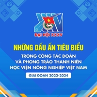 Những dấu ấn tiêu biểu trong công tác Đoàn và phong trào thanh niên Học viện Nông nghiệp Việt Nam giai đoạn 2022-2024