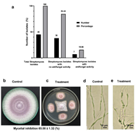 Xác định đặc điểm của xạ khuẩn Streptomyces sp VNUA116 với khả năng kháng nấm bệnh Fusarium oxysporum f sp cubense tropical race 4