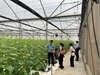 Khảo sát thực trạng ứng dụng và chuyển giao khoa học công nghệ của HTX trên địa bàn huyện Yên Dũng, tỉnh Bắc Giang