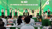 Khai mạc Festival hoa, cây cảnh VNUA 2025