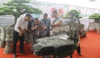 Khai mạc Festival hoa, cây cảnh tại Học viện Nông nghiệp Việt Nam