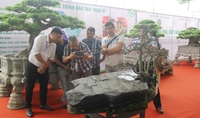 Khai mạc Festival hoa, cây cảnh tại Học viện Nông nghiệp Việt Nam