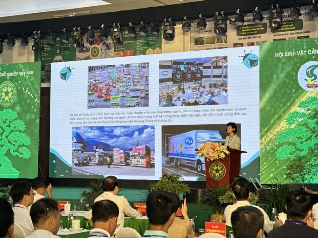 dafabet khuyến mãi