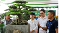 Ngành hoa cây cảnh Việt Nam khẳng định vai trò trong nông nghiệp hiện đại