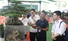 Hơn 300 chuyên gia bàn giải pháp về đào tạo, phát triển ngành hoa cây cảnh
