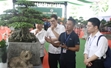 Hơn 300 chuyên gia bàn giải pháp về đào link vào dafabet, phát triển ngành hoa cây cảnh