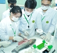 Khi sinh viên Học viện Nông nghiệp Việt Nam soi bệnh cho các loài tôm, cá