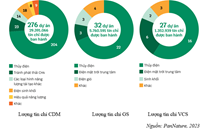 Thị trường tín chỉ Carbon Cơ hội vàng cho Việt Nam trên hành trình Net Zero