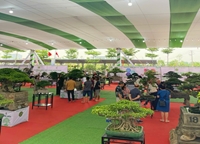 Festival Hoa, Cây cảnh VNUA 2025 – Không gian học tập sáng tạo dành cho sinh viên ngành Sư phạm công nghệ