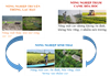 Nông nghiệp sinh thái – Hướng đi tất yếu cho nền nông nghiệp Việt Nam